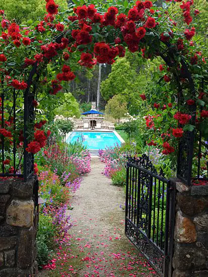 Rosy Arched Arbor Over the Garden Gate