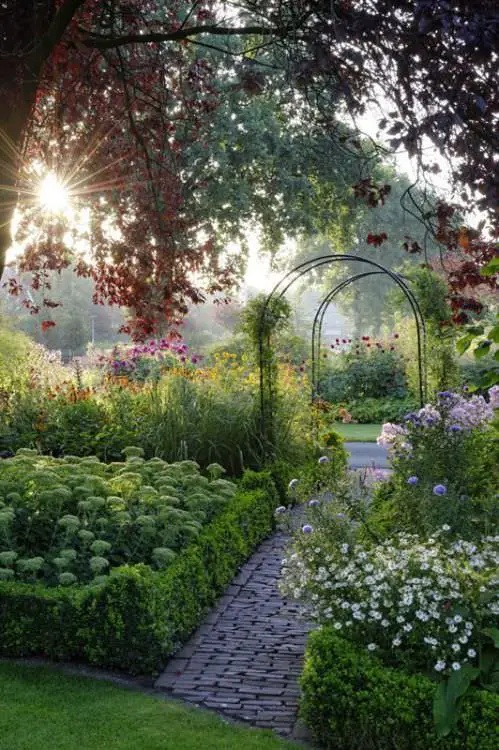 Paved Walkway Bordered with Hedge and Floral Plants