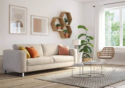 Best House Plants Home Pictures for Inspiration 3