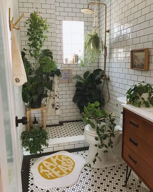 Vanity Plant Ideas 2