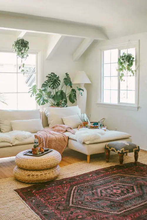 Apartment Decoration Ideas with Plants 3