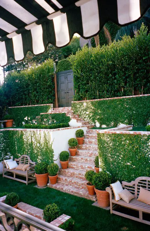 A Sprawling Backyard