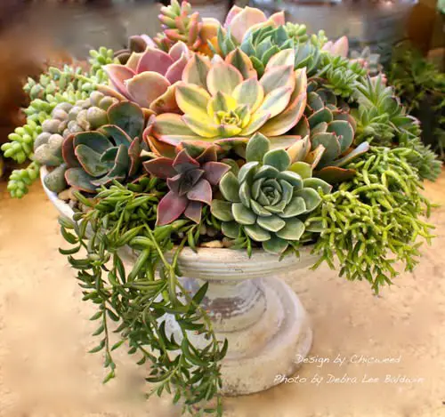 DIY Tabletop Centerpiece Ideas for Gardeners 4