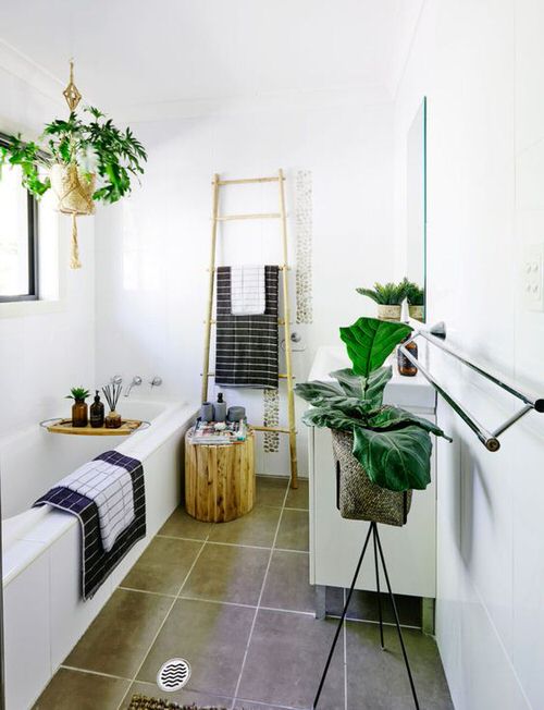 Vanity Plant Ideas 3