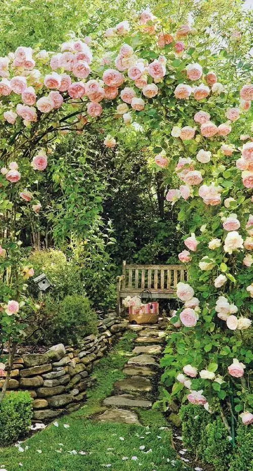 English Country Garden