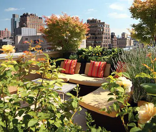 Small City Garden Urban Rooftop Garden