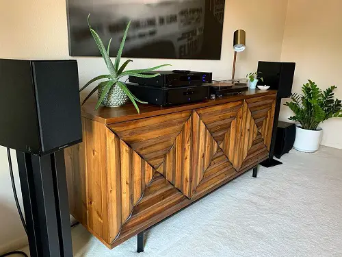 aloe-vera-On a TV Stand Flanked with Speakers