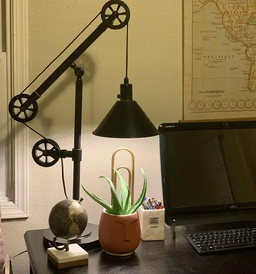 Workstation with A Spot Light on Aloe vera Indoor Decor