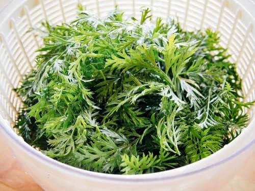 Are Carrot Leaves Edible