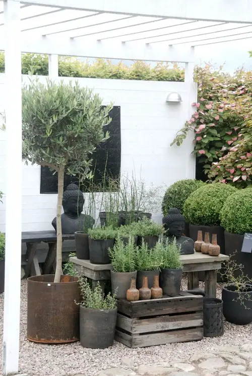 Container Water Garden