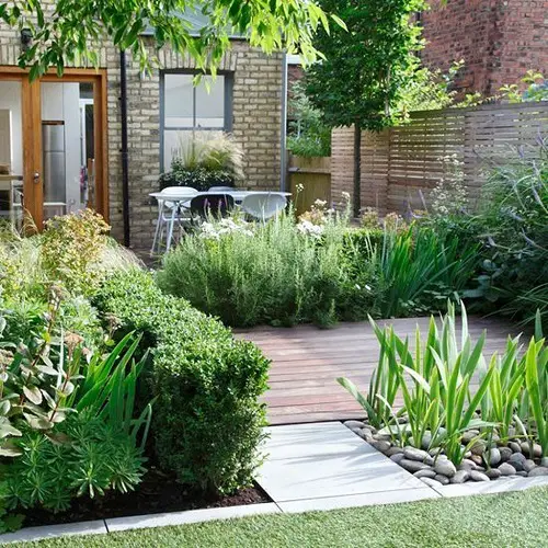 Deck and Shrubs