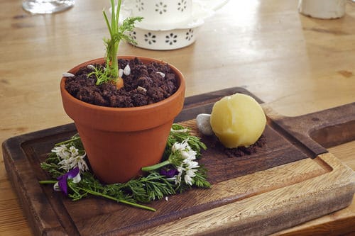 Are Carrot Leaves Edible 2