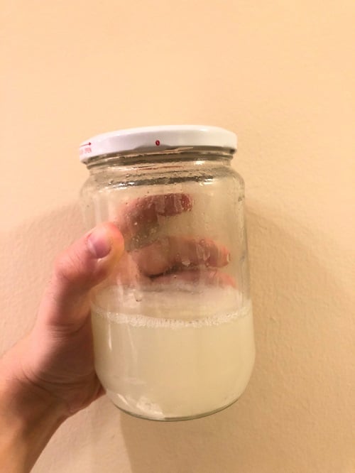 Why you Should Use Leftover Pasta Water on Your Plants