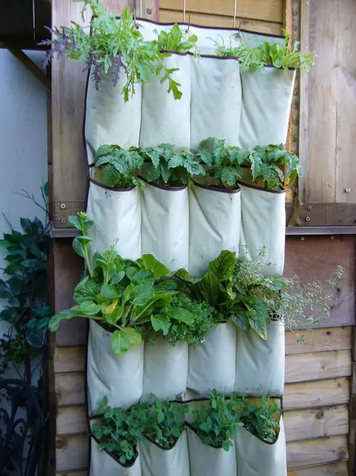 DIY Herb Wall Ideas 5
