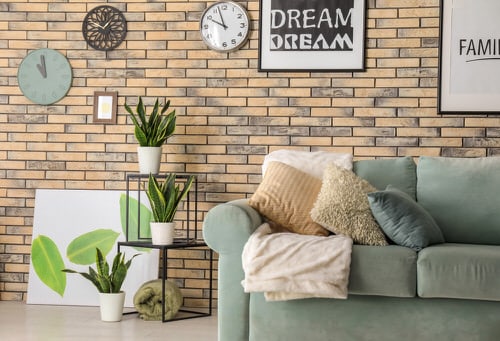 Indoor Snake Plant Display Ideas 3