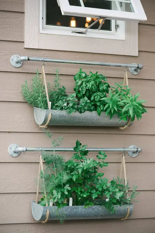 DIY Herb Wall Ideas 6