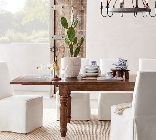 Best Indoor Plants for Dining Room 7