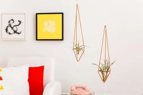 DIY Plant Hanger Ideas 8