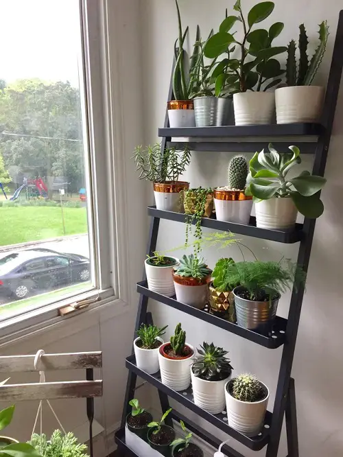 Functional Indoor Ladder Planter Ideas