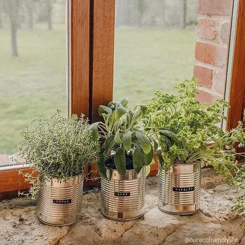 Indoor Herb Garden on Instagram 10