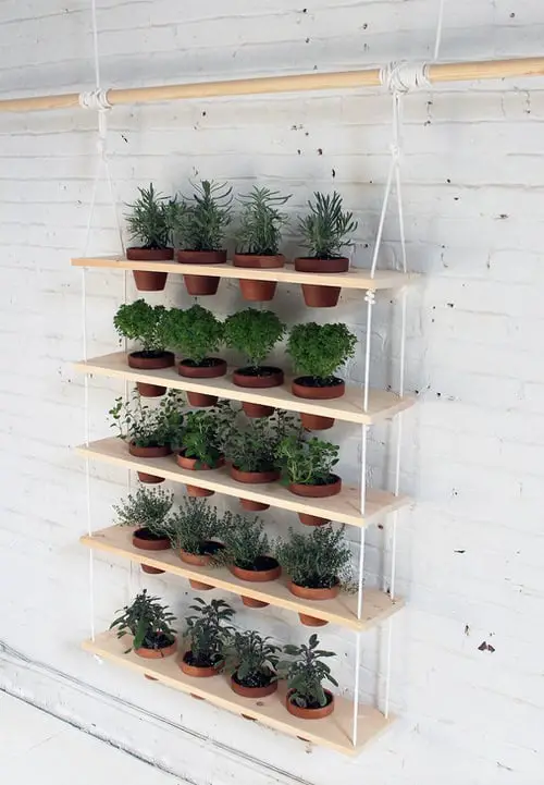 DIY Herb Wall Ideas 1