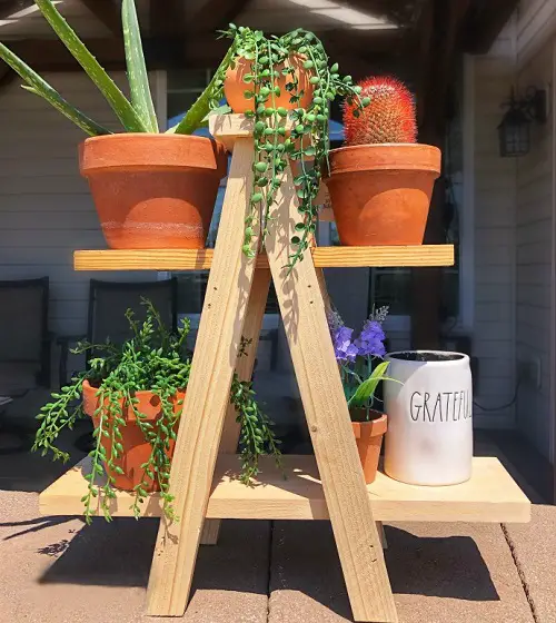 DIY Mini Plant Ladder