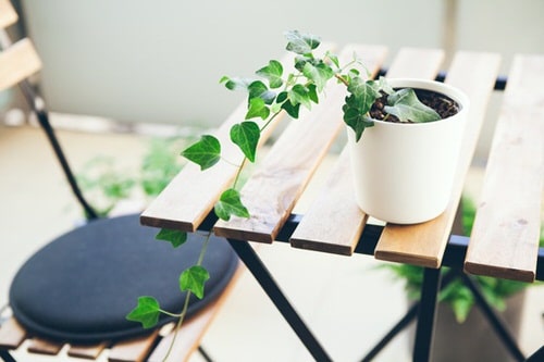 Table Decorating Ideas with Small Potted Houseplants 10