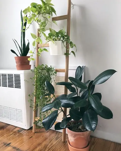 IKEA Plant Ladder