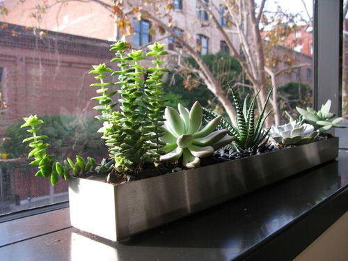 Window Steel Box