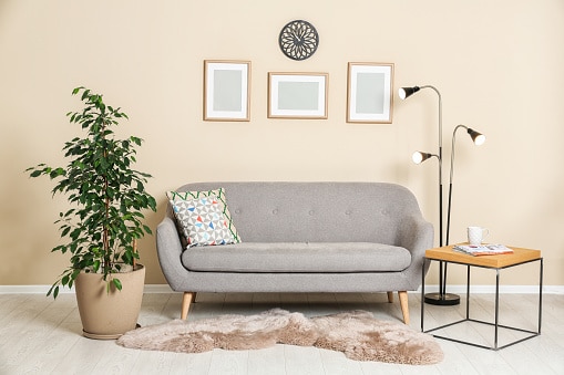 Pin Worthy Houseplant Pictures 9