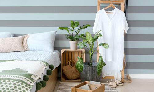 Pin Worthy Houseplant Pictures 8