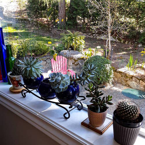 On Coasters and Plant Stand