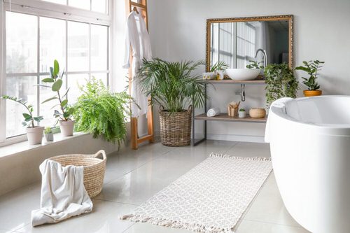 Pin Worthy Houseplant Pictures 5