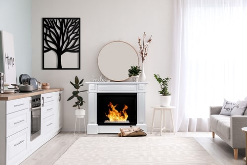 Pin Worthy Houseplant Pictures 6