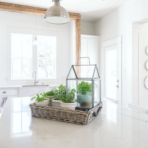 Indoor Herb Garden on Instagram 20