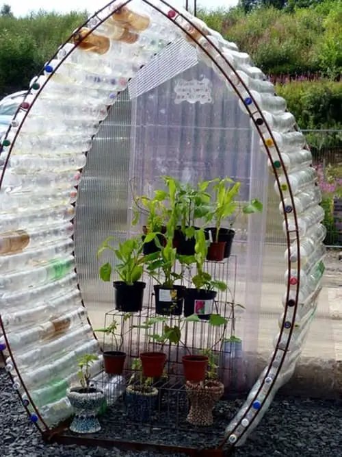 Gorgeous Bottle Garden Designs 2