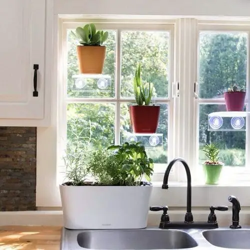 Indoor Herb Garden on Instagram 23