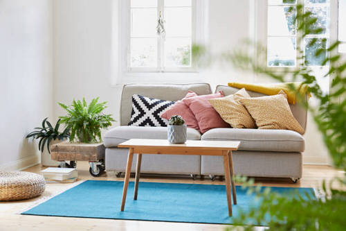 Pin Worthy Houseplant Pictures 22