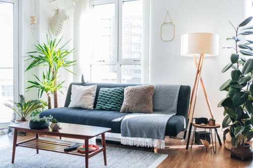 Pin Worthy Houseplant Pictures 23