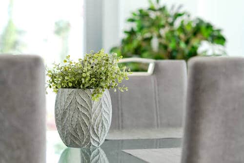 Pin Worthy Houseplant Pictures 24