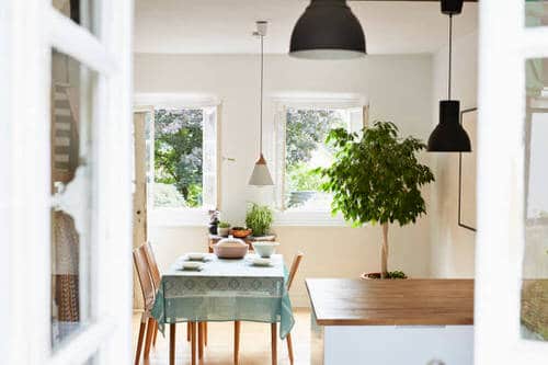 Pin Worthy Houseplant Pictures 26