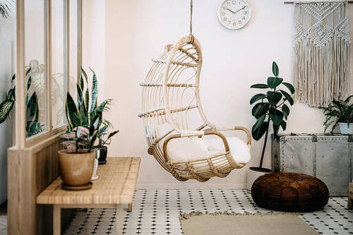 Pin Worthy Houseplant Pictures 28