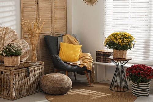 Pin Worthy Houseplant Pictures 30