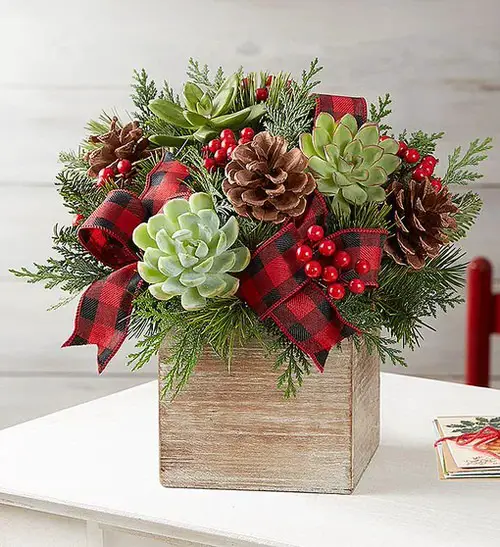 Eye-Catching Succulent Christmas Table Decoration Designs 