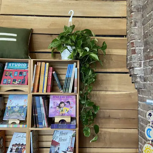 Best Indoor Plants for Dining Room 3