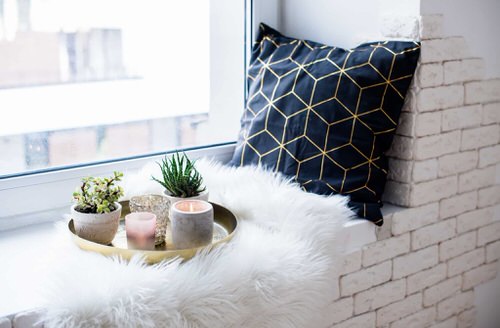 Pillow and Succulents
