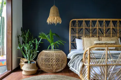 Pin Worthy Houseplant Pictures 33