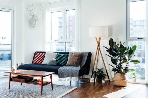 Pin Worthy Houseplant Pictures 34