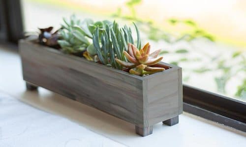 Mini Wooden Window Box