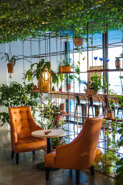 Pin Worthy Houseplant Pictures 48